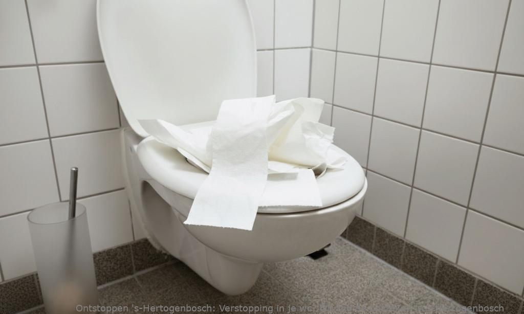 Verstopping in je wc? Dit zijn de oorzaken in s-Hertogenbosch
