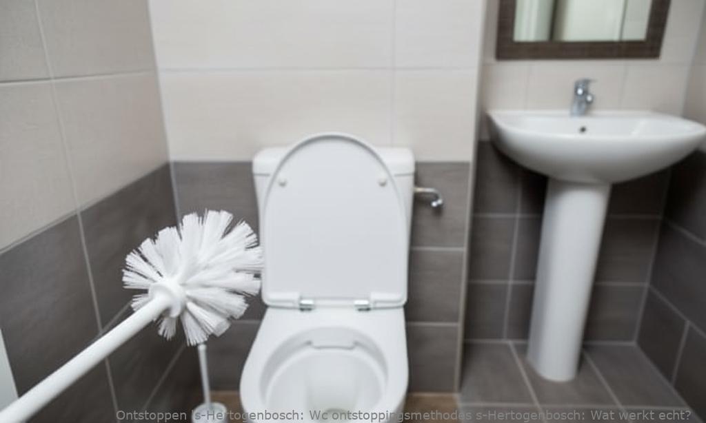 Wc ontstoppingsmethodes s-Hertogenbosch: Wat werkt echt?